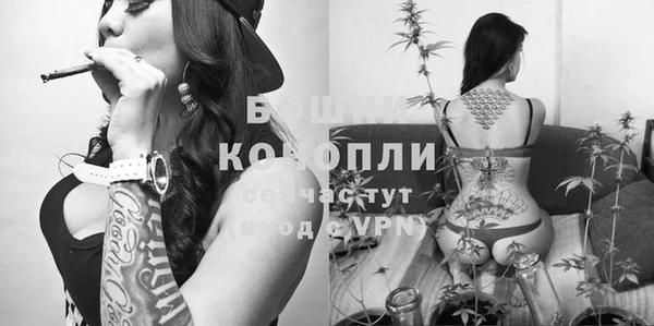 мяу мяу мука Армянск