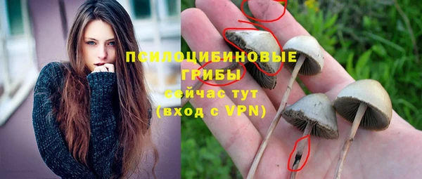 мяу мяу мука Армянск